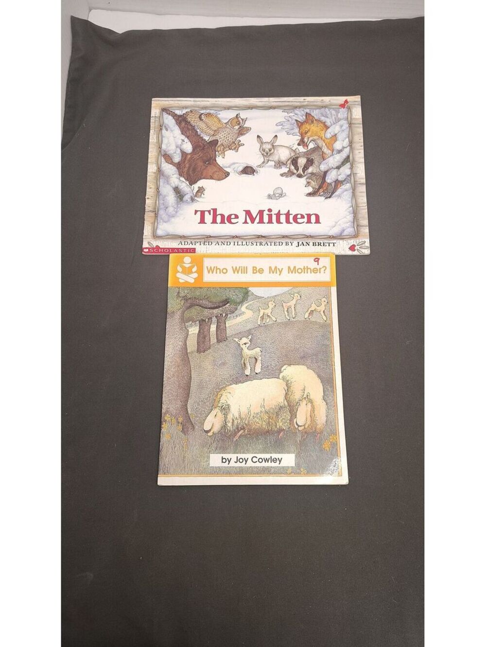 Lot of 2 Children’s Books The Mitten Jan Brett Who Will Be My Mother Joy Cowley